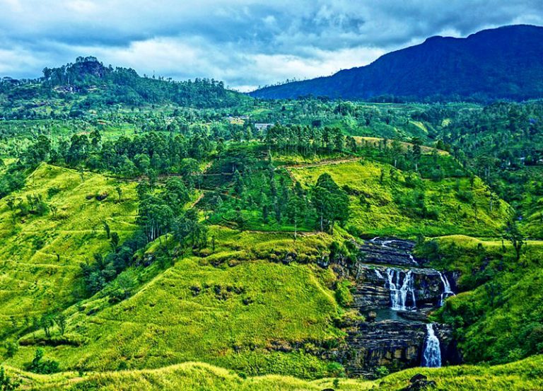 Kandy tea plantation tour