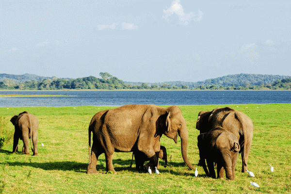 Sri Lanka 6-tägige Reiseroute
