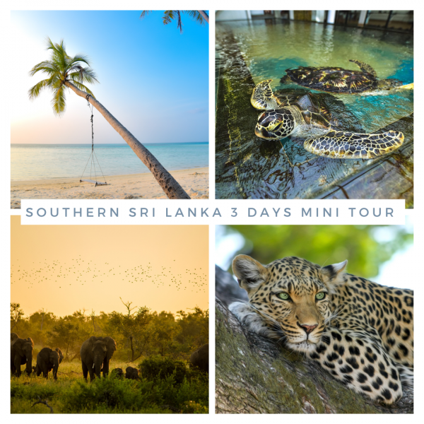 southern Sri Lanka tour