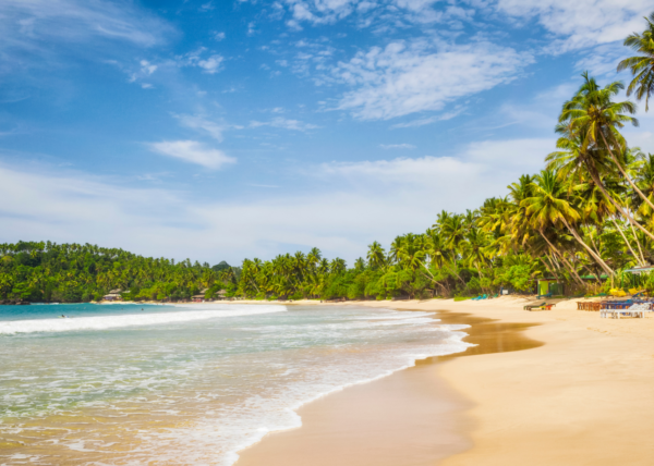 Sri Lanka surfing and beach tour packages