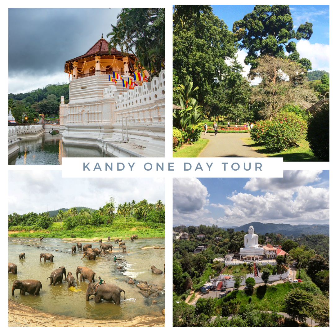 kandy one day tour